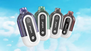 Can the Best Refillable Vapes Match the Puff Count of Top Disposables